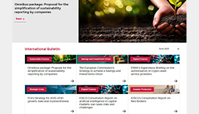 New International Bulletin